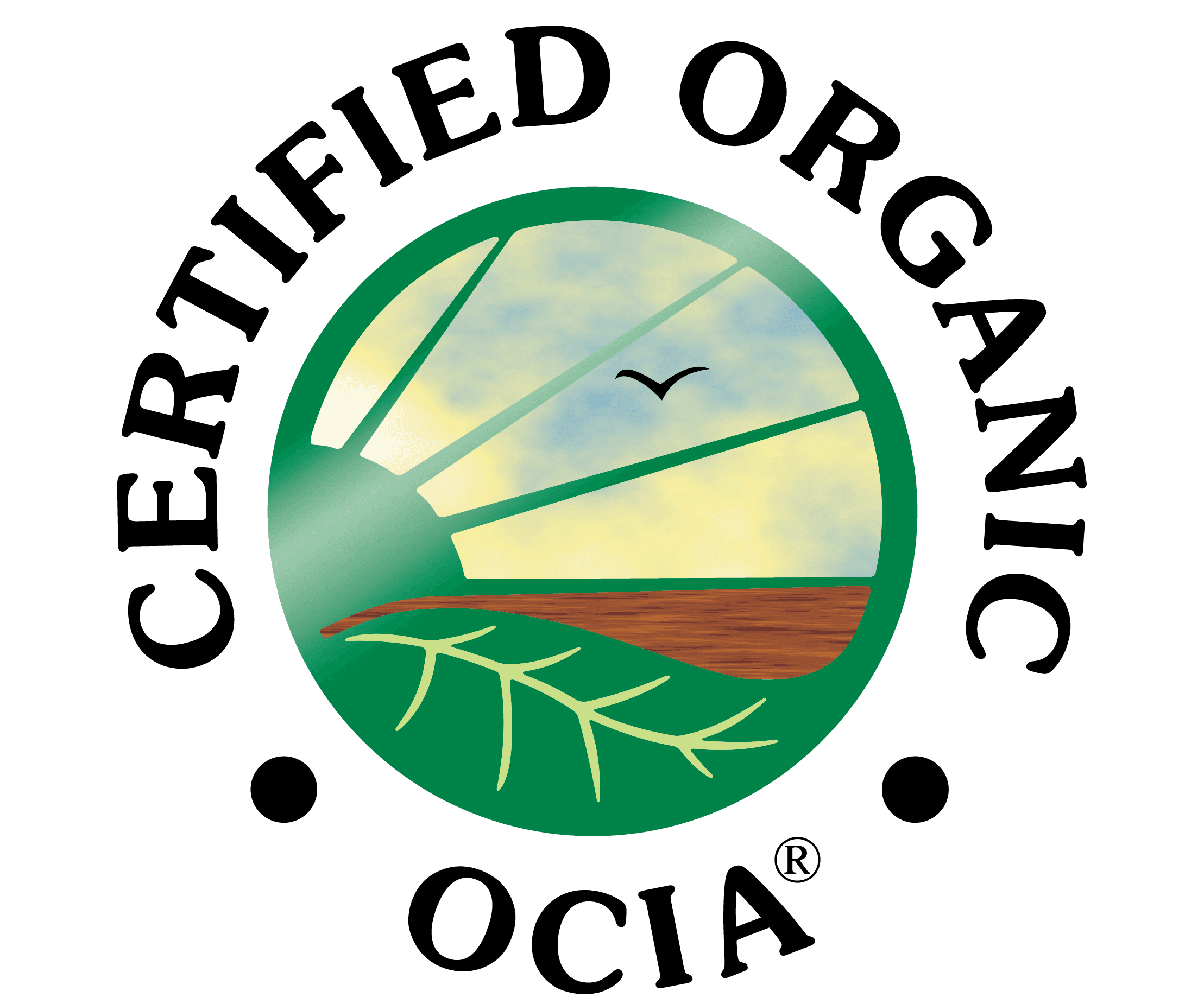 OCIA Full Color Logo-02