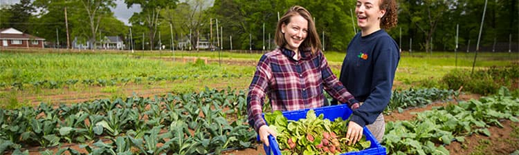 organic-farm-duo