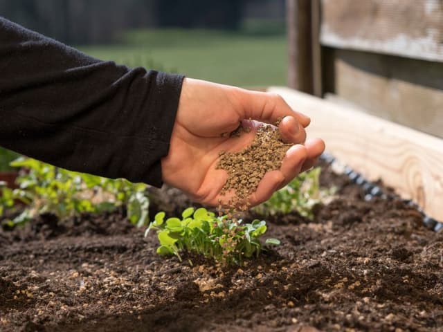 Soil and Nutrient Management