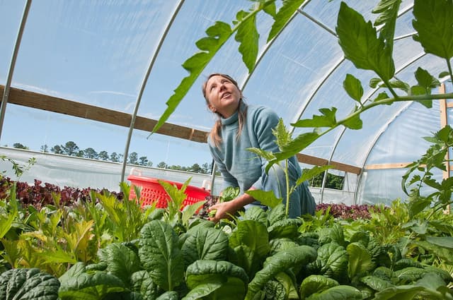 Organic Processing and Handling