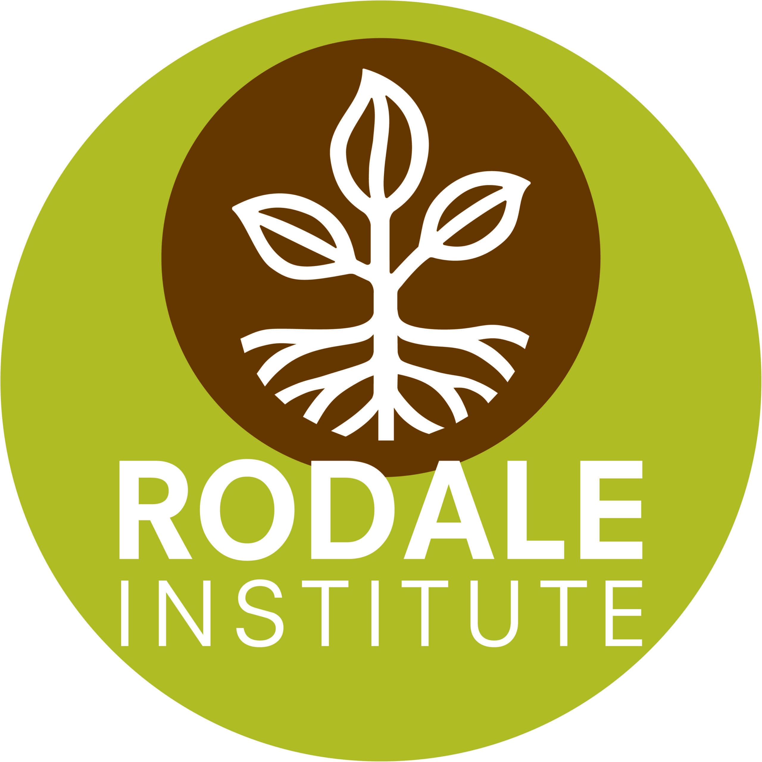 Market Development Technical Assistance